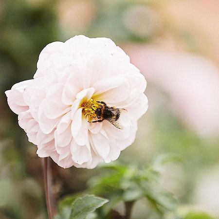 Gasthaus Hummel Duggendorf Екстер'єр фото